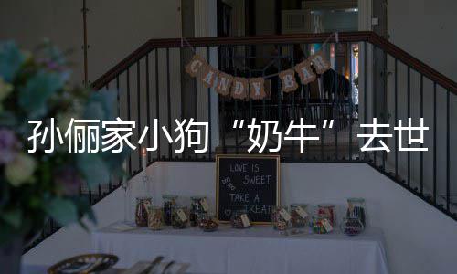 去小花痛哭奶牛女儿家小狗孙俪世